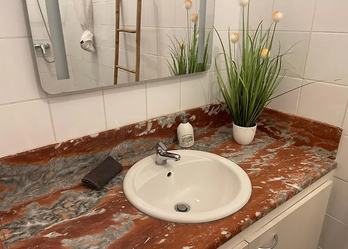 Insolite - Dans Bibliotheque